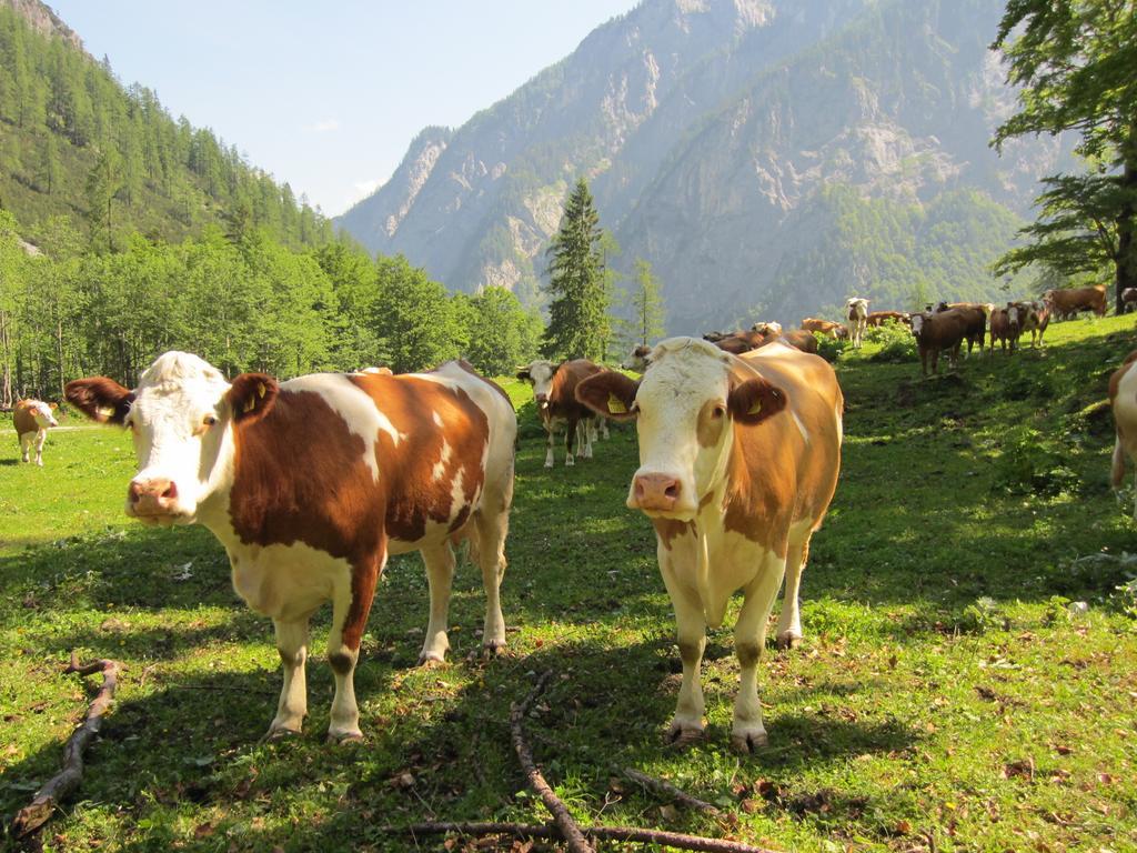 Gasthof Zum Loewen Sankt Jakob im Lesachtal Exterior foto